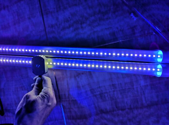 ultraviolet t8 tube lamp