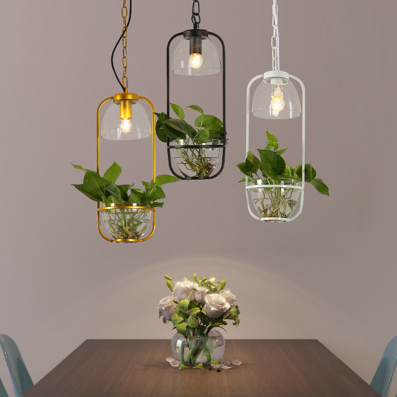 Hanging plant vase pendant light in brass