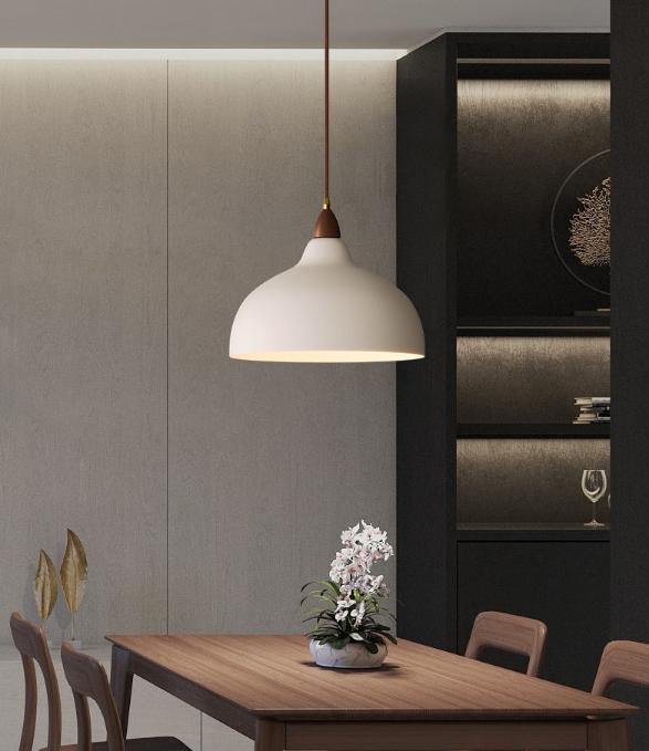 Ian Solid Pendant Light