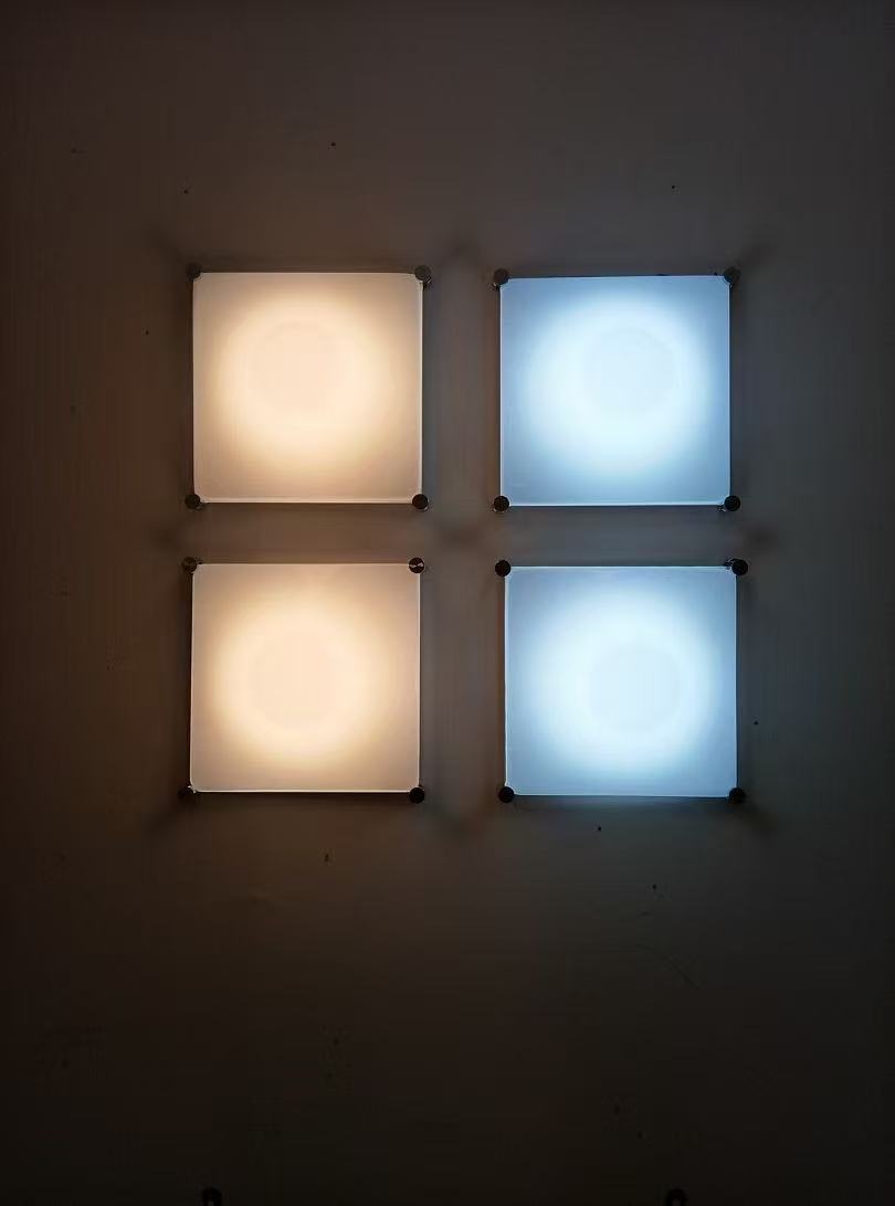 Bola Acrylic Water Drop LED Ceiling Lamp  Wall Lamp