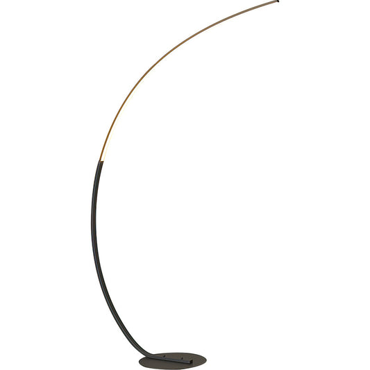 Curved Floor Lamp