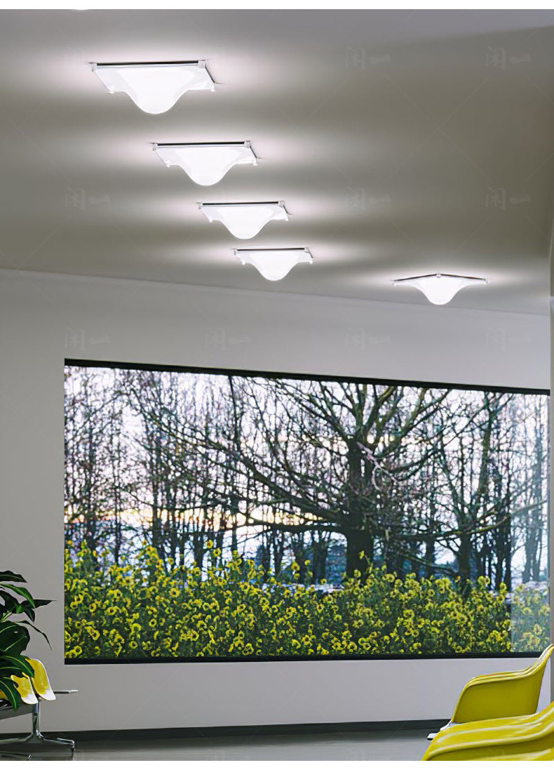 Bola Acrylic Water Drop LED Ceiling Lamp  Wall Lamp