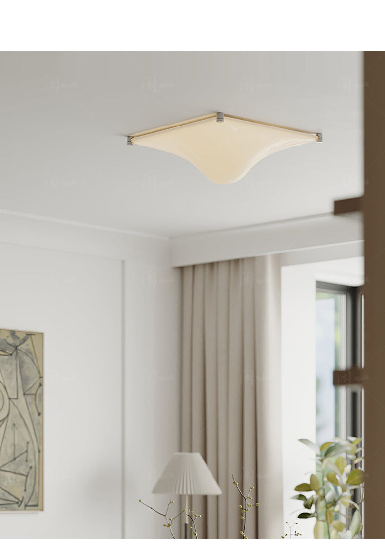 Bola Acrylic Water Drop LED Ceiling Lamp  Wall Lamp