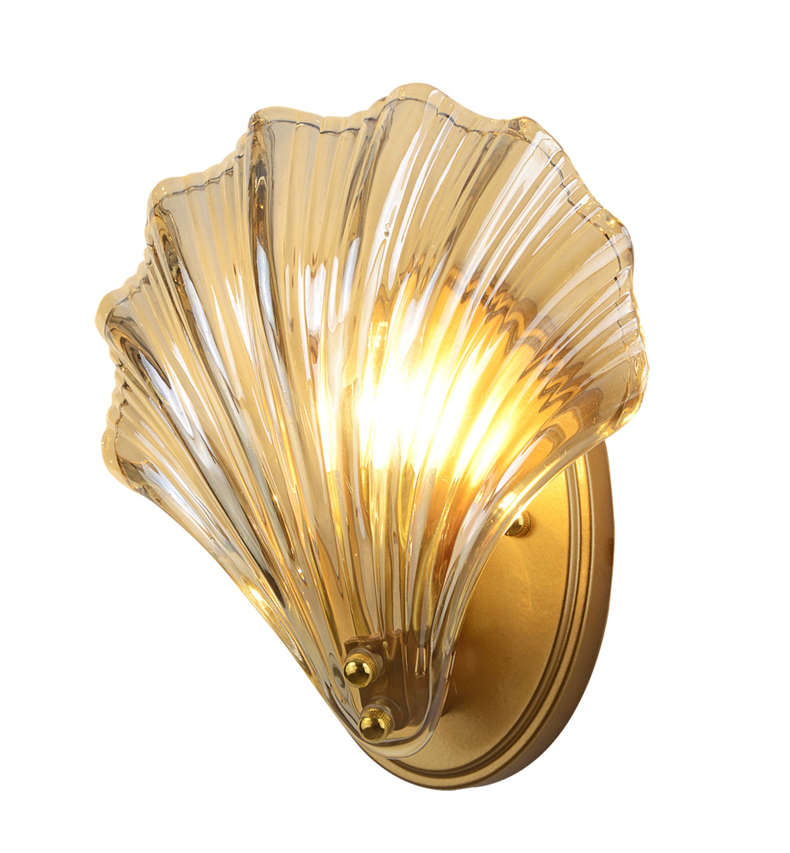 Lamp Shell Labeled Beautiful Shell Wall Lamp – BELECOME