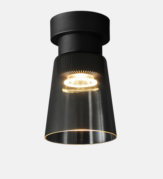 Point The Ceiling Light