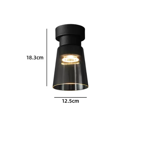 Point The Ceiling Light