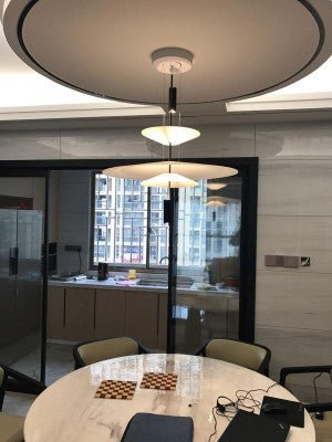 Flamingo chandelier