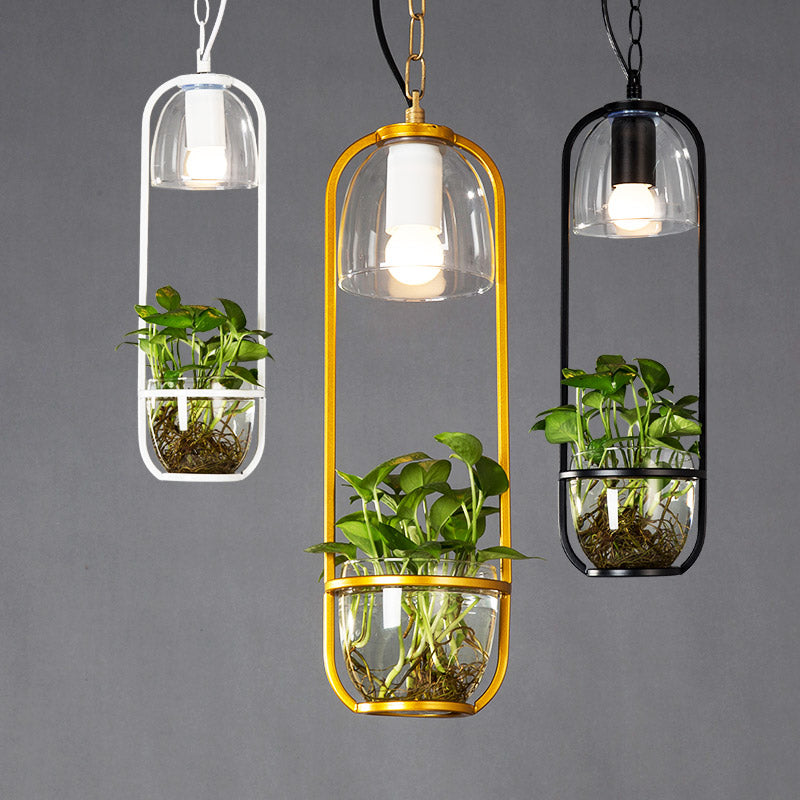 hanging bulb plant Hanging plant vase pendant light in brass – BELECOME