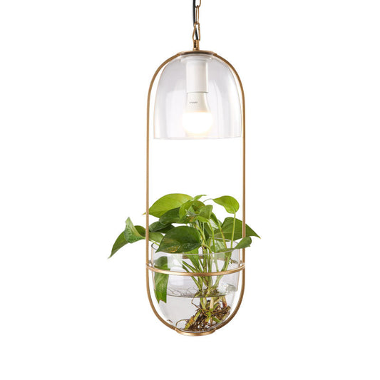 Hanging plant vase pendant light in brass