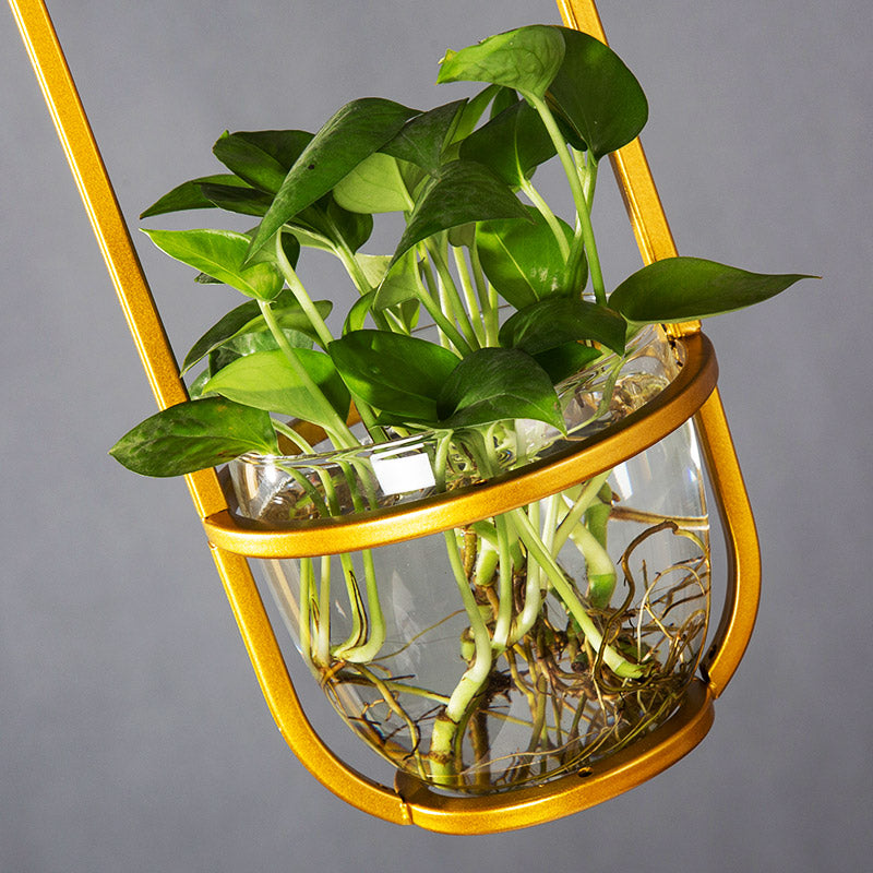 Hanging plant vase pendant light in brass