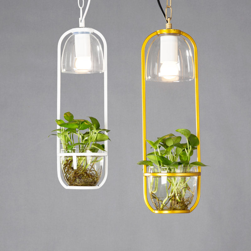 Hanging plant vase pendant light in brass