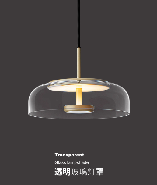 LED Hanging Lamp 