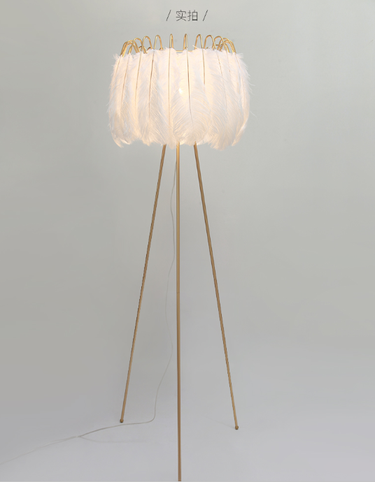 Feather Table Lamp & Floor Lamp