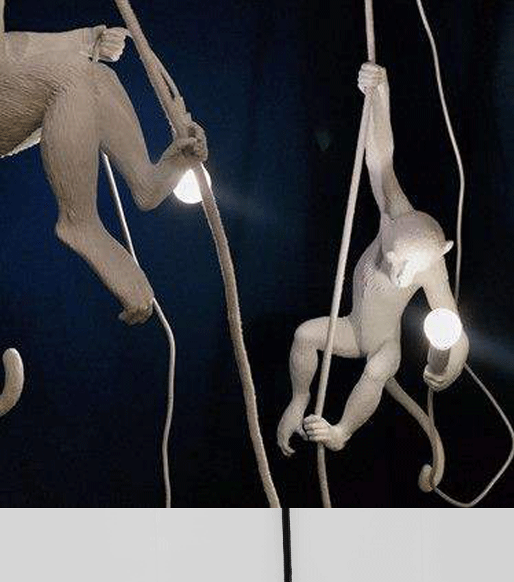 monkey holding light bulb