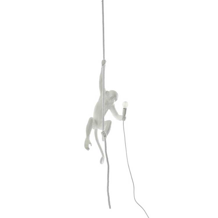monkey light